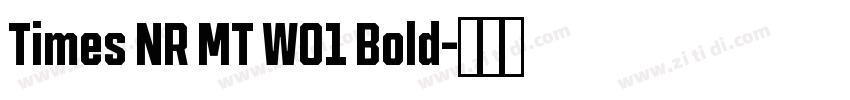Times NR MT W01 Bold字体转换